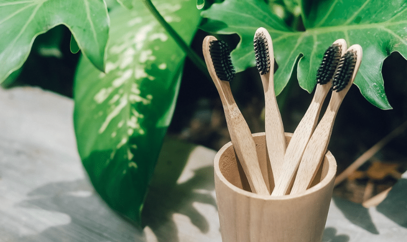 Bamboo Toothbrush